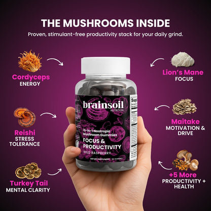 FOCUS & PRODUCTIVITY™