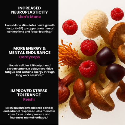 FOCUS & PRODUCTIVITY™